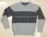 100% Cotton Boy Sweater in Round Neck Long Sleeve (16-329)