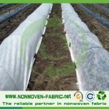 Outdoor Agriculture Cover UV Nonwoven Fabric
