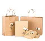 New Design Eco-Friendly Customized Paper Gift Bag
