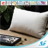 Wholesale Best Selling Hotel Pearl Cotton Pillow/Plain Canvas Pillow