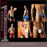 Sexy Briefs Fashion Men's Panties Man Shorts Underwear Boxer (TWLH024)