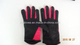 Work Glove-Silicon Glove-Sport Glove-Garden Glove- Hand Glove-PVC Dotted Glove