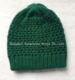 Hot Selling Fashion Beanie Hat (JTB207)