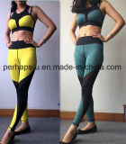 Wholesale Women Sportswear Quickly Drying Fitness Suit