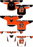 Customized American Hockey League Lehigh Valley Phantoms Hockey Jersey