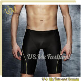 Hot Selling Sports Swimwear for Men Swim Shorts Factory