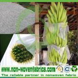 Environmental Polypropylene Spunbond Non Woven Fabric for Banana Cover