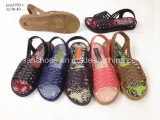 Hotsale Women Casual Sandals Slippers Footwear Wholesale (YG828-23)