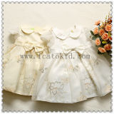 Cpsia Standard Spring Summer Baby Party Dress for 2 Years Old Baby