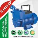 High Efficiency and Energy Saving Household Electric Pump