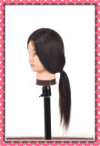 Mannequin Head Natural Human Hair Training Head 26inches for Style