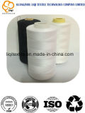 100 Polyester Embroidery Thread with Various Colour for Clothes