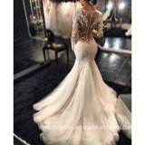 Long Sleeves Bridal Gowns Mermaid Lace Sheer Wedding Dresses Bz2014