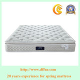 China Premium Bed Mattress with 3 Zone Pocket Spring