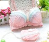 Factory Price Women Bra and Panty Underwear Set with Lace