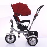 Electrostatic Painting Iron Frame Child Tricycle with Soft Seat Cushion