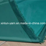 PVC Coated Nylon Taffeta Fabric for Jacket