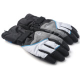 Fgv024lwh Winter Touch Screen Waterproof Windproof Motorcycle Racing Sport Gloves
