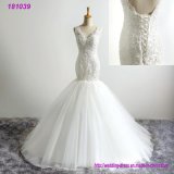 V-Neck Bridal Gowns Tulle Train A-Line Country Beach Wedding Dress