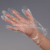 Food Usage Disposable Plastic Glove at HDPE LDPE