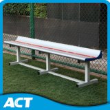 Factory Price 1 Row Aluminum Bleachers with Low Backrest, Portable Bleacher Seating