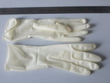 Latex Surgical Gloves Powdered or Powder Free