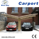 Y Shape Polycarbonate Sheet Carport for Car Parking (B810)