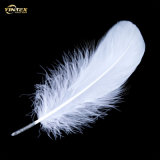 2-4cm Factory Price Cheap Down  Feather  Washed White  Duckfeathers  for Sale