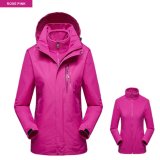Factory Supply Windproof Biker Camping Hiking Winter Jacket for Woman