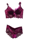 Hot Sale Embroidery Lace Lingerie Sexy Bra Set (FPY318)