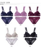 Wholesale Ladies Sexy Panty and Bra Sets