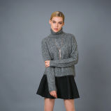 Lady's Fashion Sweater 17brpv033