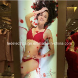 Underwear Shop Product Advertising Display for Wall Mounted Slim LED Light Box with Private Shop