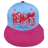 Two Tone Hat with Nice Logo Nw053