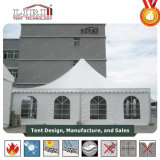 10X10m High Quality Outdoor Frame Gazebo Garden Tent for Sale