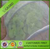 Agricultural Insect Proof Nets