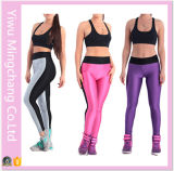 2016 Latest Plus Size Spell Color Women Sport Yoga Pants