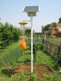 Solar Powered Insect Killer Lamp in Garden, Yard, Plant