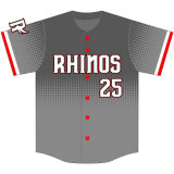 Customized Design Baseball Top Jersey for Team