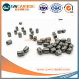 Grewin Solid Tungsten Carbide Buttons