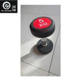 Gym Equipment Color Cap Black Rubber Dumbbell Osf002 Free Weight