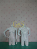 Fiberglass Female and Male Bust FRP Torso Mannequins (GS-GY-005)