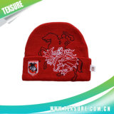 Fashionable Cuffed Acrylic Winter Knitted Hat/Cap (071)