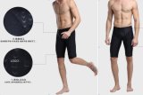 2016 Quick Dry Men's Lycra Beach Pants &Swim Pants (CL-750)