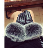 Wholesale Top Grade Women Fashion Leather Gloves with Real Rex Rabbit Fur