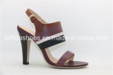 Elegant Heel Open Toe Lady Sandal with Simple Design