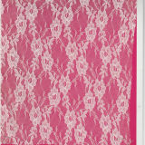 Lingerie Lace Fabric (carry oeko-tex standard 100 certification)