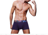 Fashion Printed Waistband Knitted Sexy Men Boxers