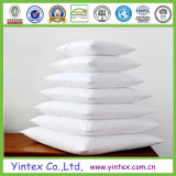 America, Canada 95/5 Feather Down Pillow