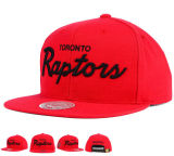 3D Embroidery Big Logo Quality Sports Snapback Hat